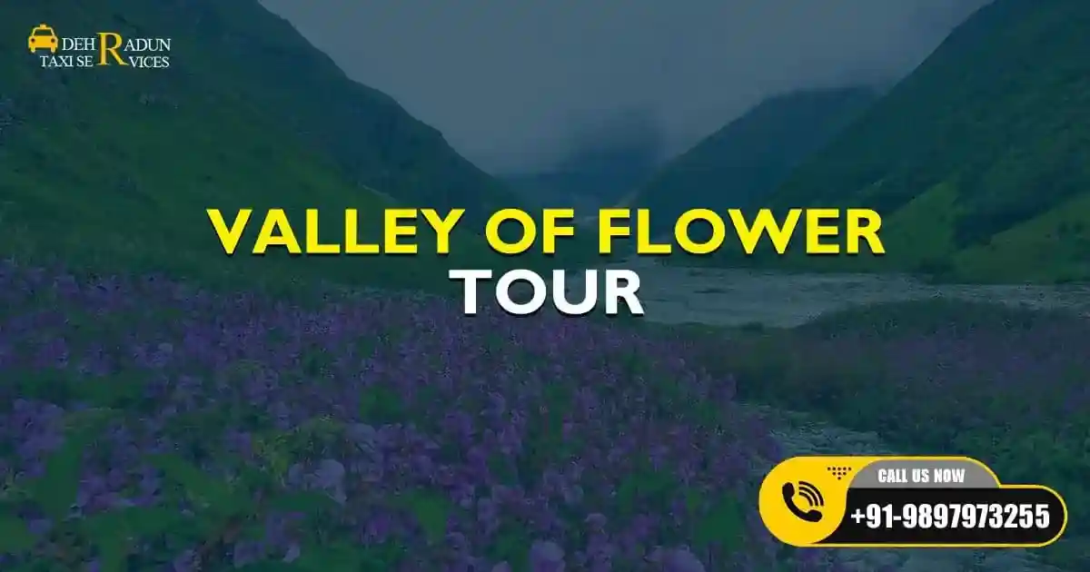 Valley of Flower Tour - comfortable and reliable travel